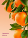 Спрей clementine hibiscus hair & body mist