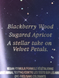 Лосьйон для тіла Starlit Velvet Petals