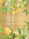Спрей для тіла afternoon light body mist