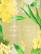Спрей для тіла wild willow body mist