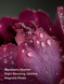Лосьйон для тіла sultry petals