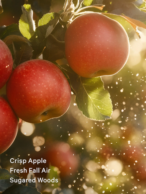 Лосьйон для тіла dreamy apple orchard