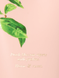 Лосьйон для тіла sunlit nectar body lotion