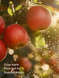 Спрей для тіла dreamy apple orchard